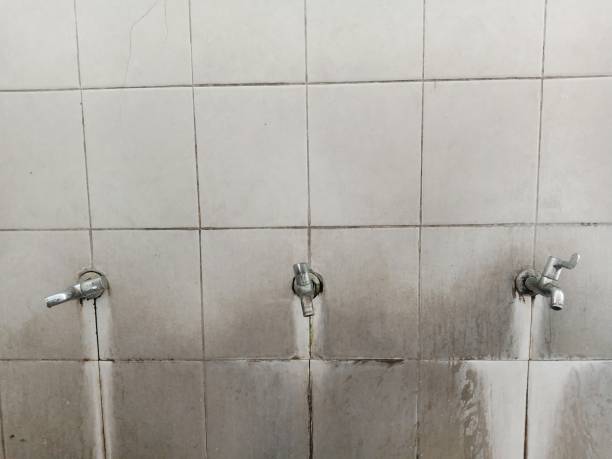 Best Mold removal after water damage  in Caribou, ME