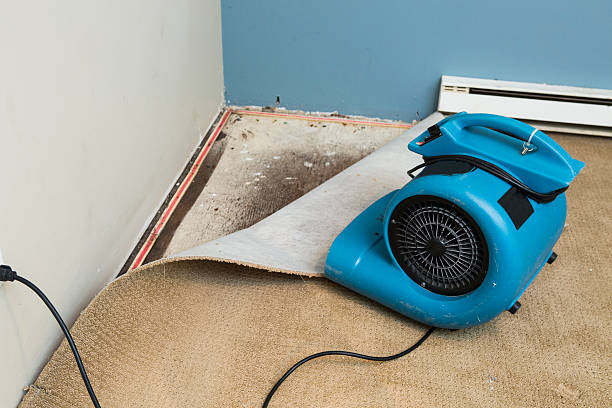 Best Flood damage cleanup  in Caribou, ME